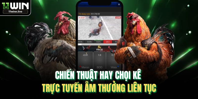 Chiến thuật hay chọi kê trực tuyến ẵm thưởng liên tục