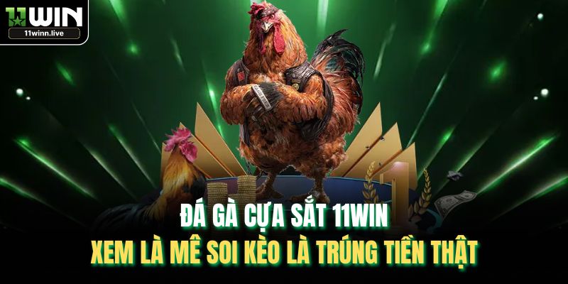 Đá Gà Cựa Sắt 11WIN – Xem Là Mê Soi Kèo Là Trúng Tiền Thật
