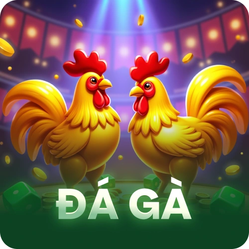 đá gà