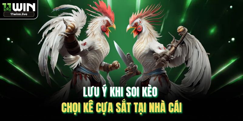 Lưu ý khi soi kèo chọi kê cựa sắt tại nhà cái