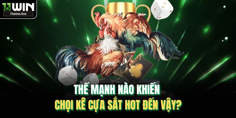 Thế mạnh nào khiến chọi kê cựa sắt hot đến vậy?