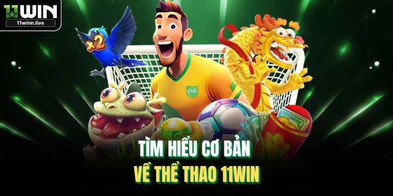 Tìm hiểu cơ bản về thể thao 11WIN